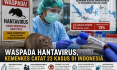 Kewaspadaan Hantavirus Meningkat, Kemenkes Catat 23 Kasus Positif di Indonesia